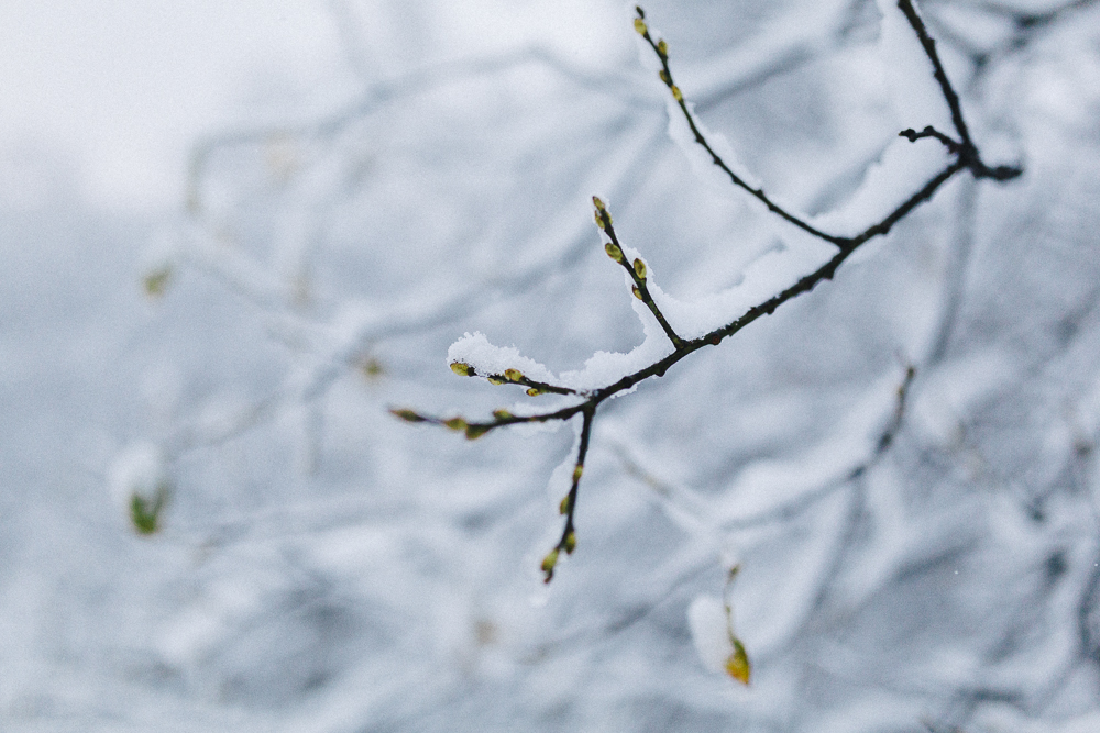 balade-dans-la-neige-et-lac-d-oo-luchon-montagne-france-rose-fushia-photographie-22